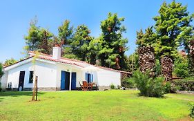 Ariadni Villa Sani
